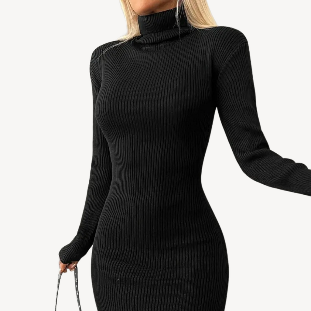 Black Ribbed Knit Turtleneck Dress for Women | Clara Vienne